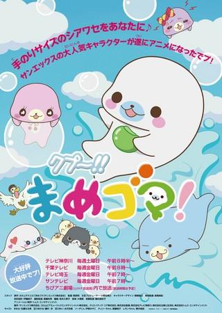 海豹宝宝