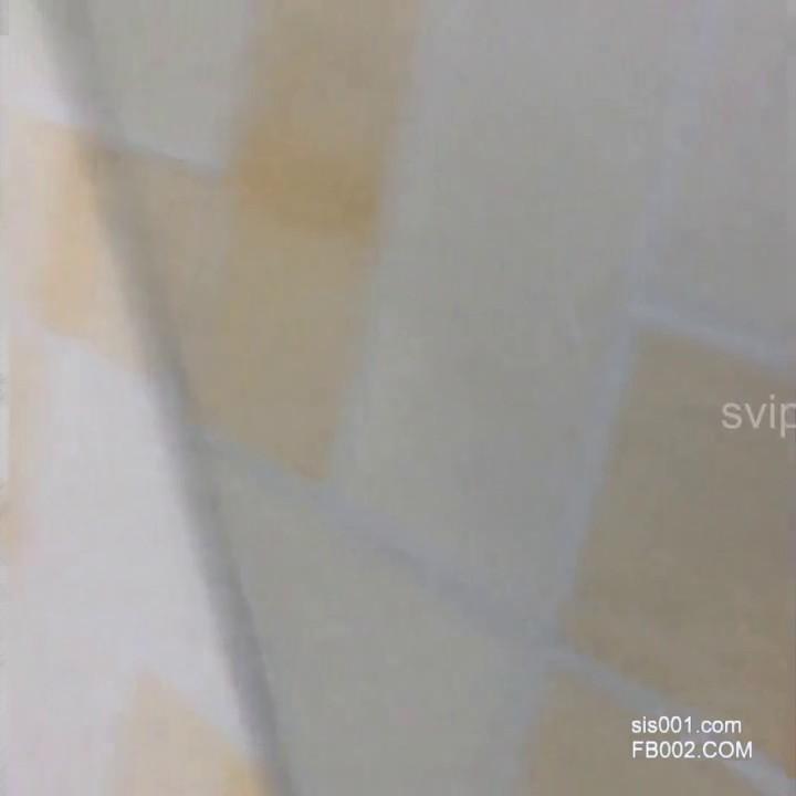 电报阿呆分享经典厕拍合集 （1080