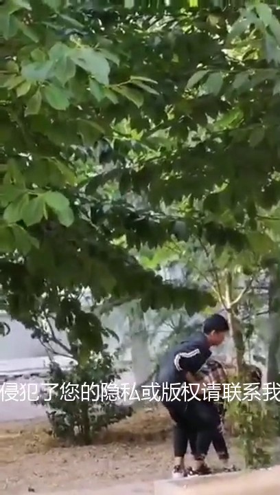 最新门事件刚放假某省财经大学宿舍没装空调情侣跑到院子里的树荫下啪啪几个同学躲在宿舍里偷窥调侃