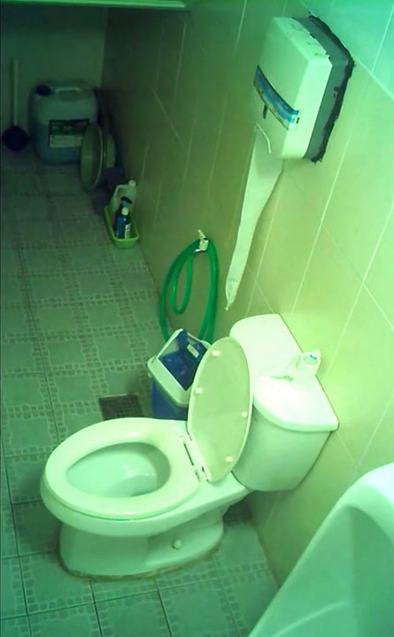 某娱乐场所公共WC系列连拍各种类型年轻美女气质美少妇方便暴露出各种各样的形态擦B的动作诱人