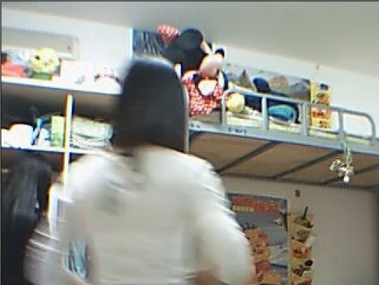 珍藏—电脑肉鸡偷开摄像头远程私密录象-海豚及室友脱衣露乳