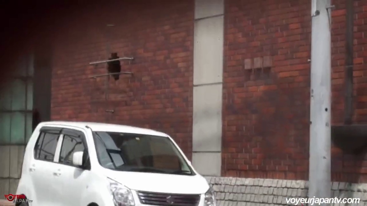 盗站最新流出公共场合连拍3位内急难耐的美少妇嘘嘘站着尿内裤尿湿一个拿内裤擦一擦直接扔了另一个拿袋装走