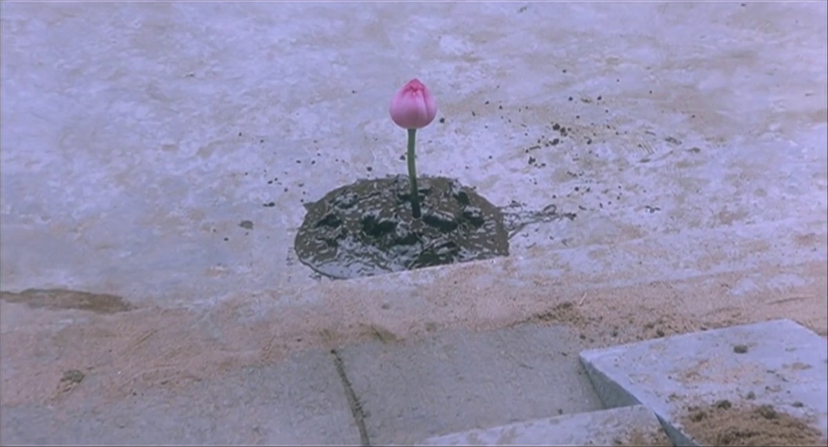 经典神作，尤物酮体，极品风情，鸡巴跳动《玉蒲团之偷情宝鉴1991加长版.高清修复内附中文字幕》饱满美好【水印】