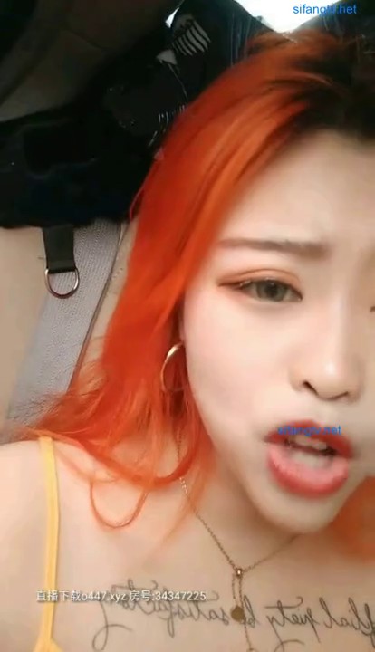 极品淫娃金毛狮子骚女『野猫韩韩』约粉丝户外车震 大黑牛玩粉穴 骑乘无套啪啪 顶操快速抽插 高潮浪叫