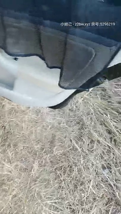 2021.1.2【跟老婆闺蜜偷情】乡间小路上，一堆野鸳鸯车震，撒尿舌吻，紧张刺激，快活似神仙无套内射