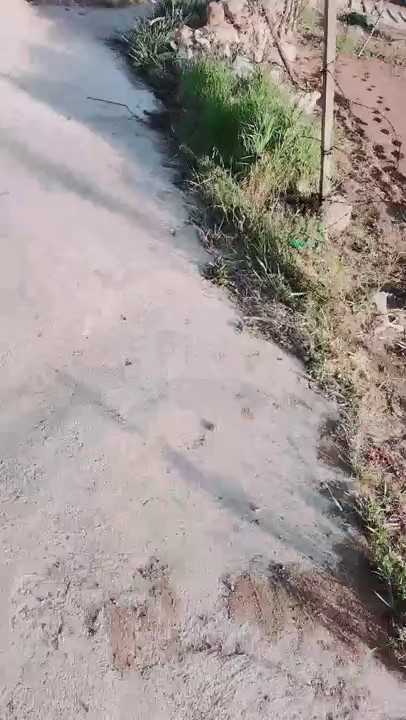 【無水印原版---新片速遞】2022.5.2，【职业约屌人】，东北乡村猎艳，地里干活大叔有福，骚逼菜地里无套开干