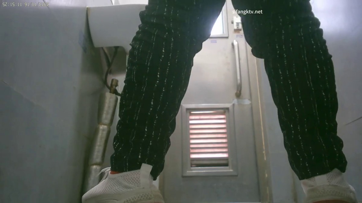 2023-11月最新流出厕拍大神 在某山顶公园女厕偷放设备偷拍近距离露脸后拍(3)多个性感美臀