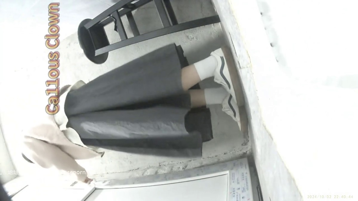 大神潜入郑州某商城女厕全景偷拍多位大长腿美女 各种极品鲍鱼2