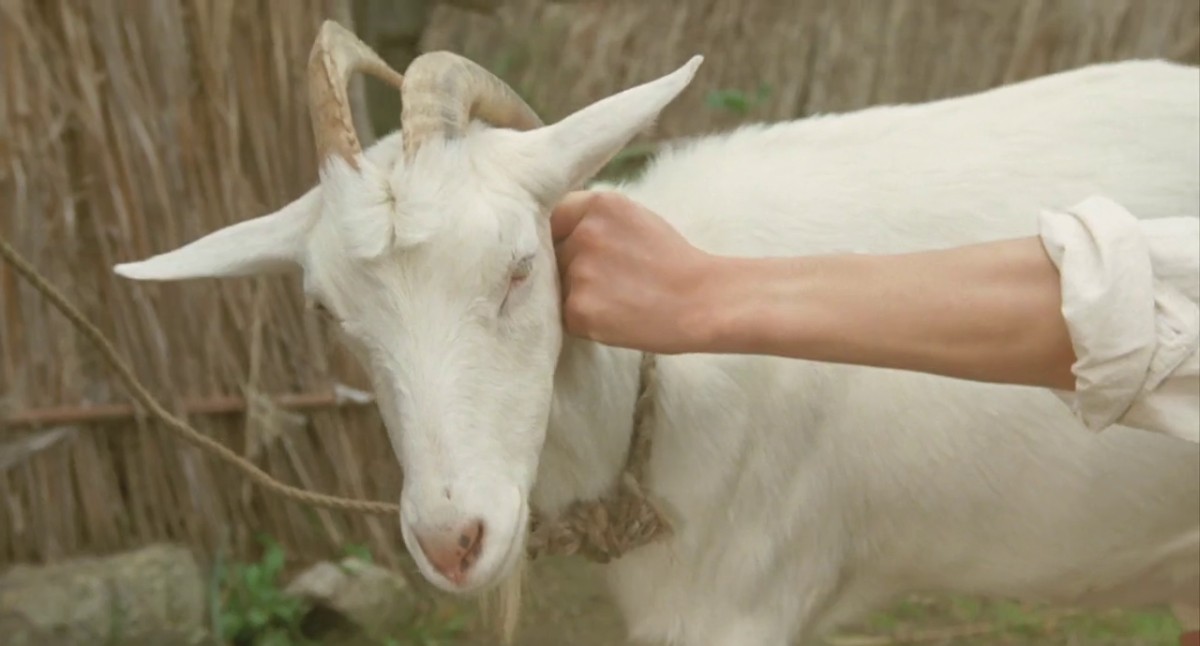 经典肉肉妹子的气质很好温婉柔柔搞起来表情销魂冲动《末日村庄1983.中文字幕高清修复版》激情佳作 硬了啊