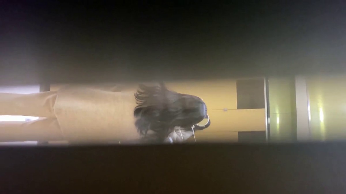 一月最新流出国内厕拍大神潜入商场女厕偷拍在酒吧嗨完来吃夜宵的美女尿尿本期有几个高颜值美女4K高清原版