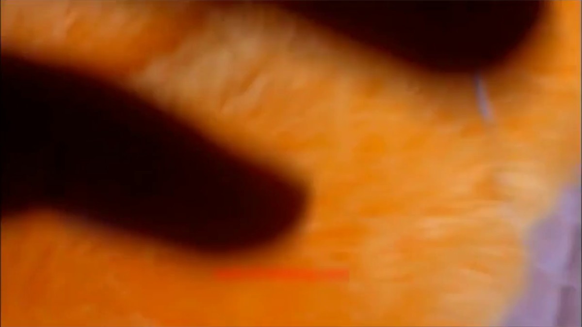 朋友妻不可欺 不过朋友的老婆干着就是爽