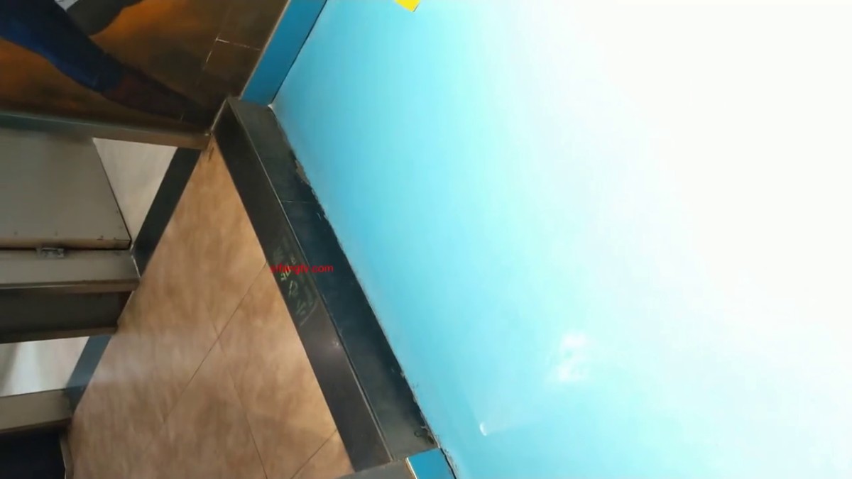 潜入商场女厕 偷拍美少妇阴毛杂乱的小黑B