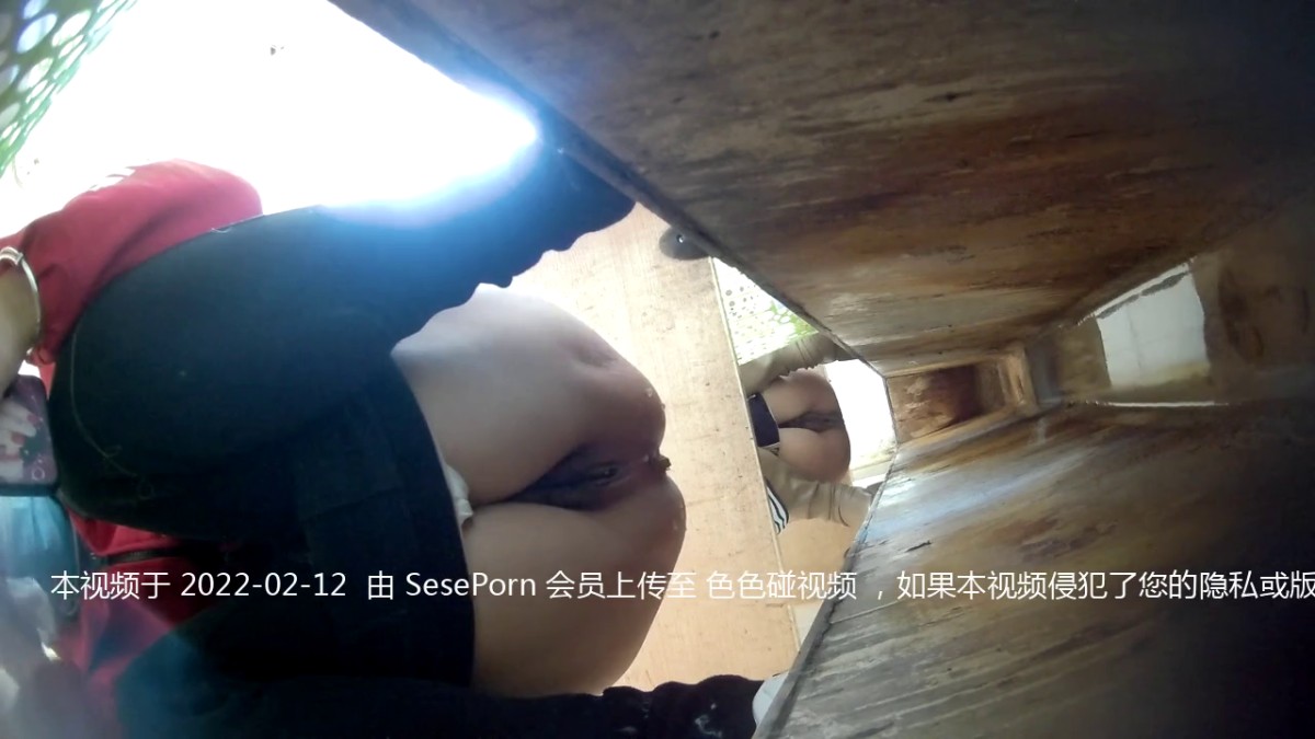 小镇赶集女厕偷拍 一次拍两个美女少妇