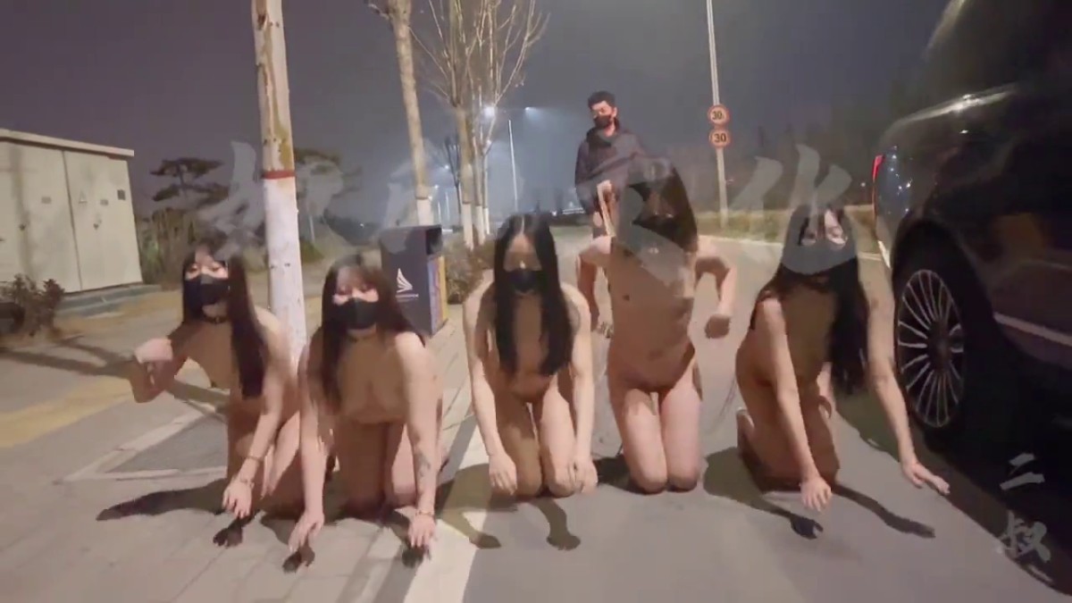 奴印文化 春天来了，又可以遛狗了