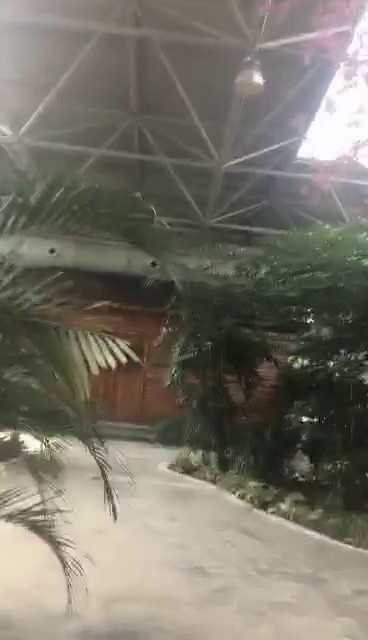 【直播偷拍】那些坑爹女主播潜入更衣室 澡堂偷拍直播1 (3)