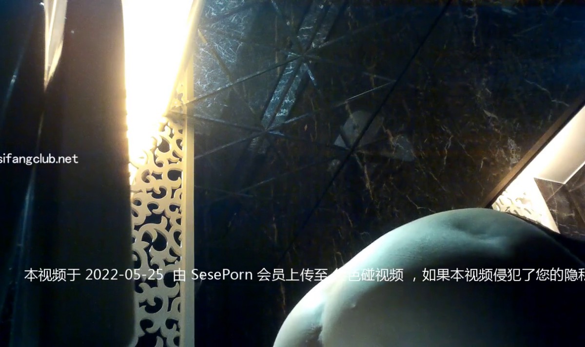 【精选厕拍】五星级大酒店 超清画质版本 都是高质量的妹子 （第一期）1 (5)