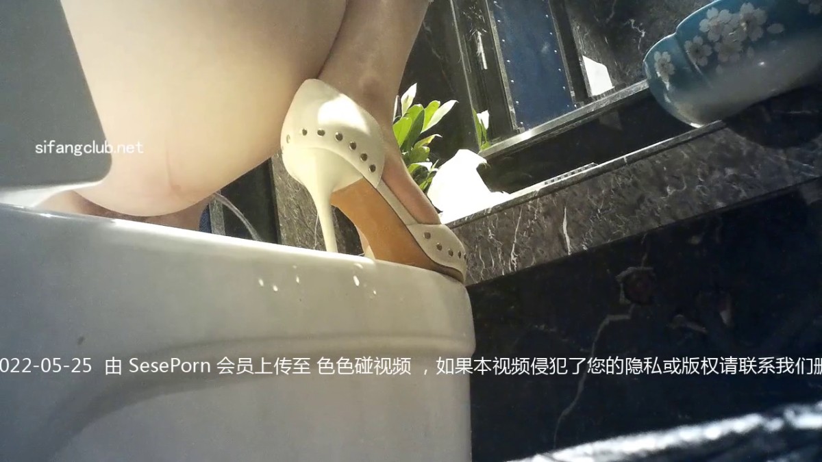 【精选厕拍】五星级大酒店 超清画质版本 都是高质量的妹子 （第一期）1 (11)