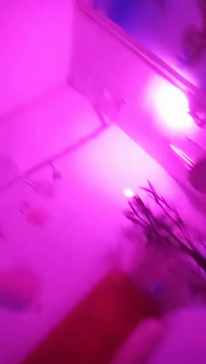 2022.2.21，【广顺探花】，外围品质女神，几百块就能干一发，挡不住这好身材