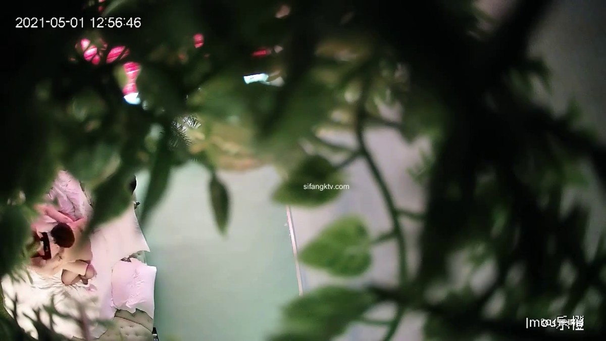 上帝视角直观欣赏数对男女激情嗨炮平时A片没少看69互舔体位多妹子都很骚很配合1