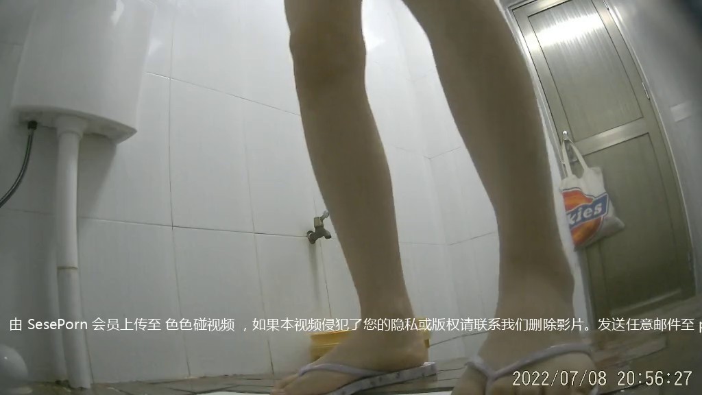 七月最新流出厕拍大神潜入 师范大学附近小吃店女厕偷拍连衣裙美眉尿尿