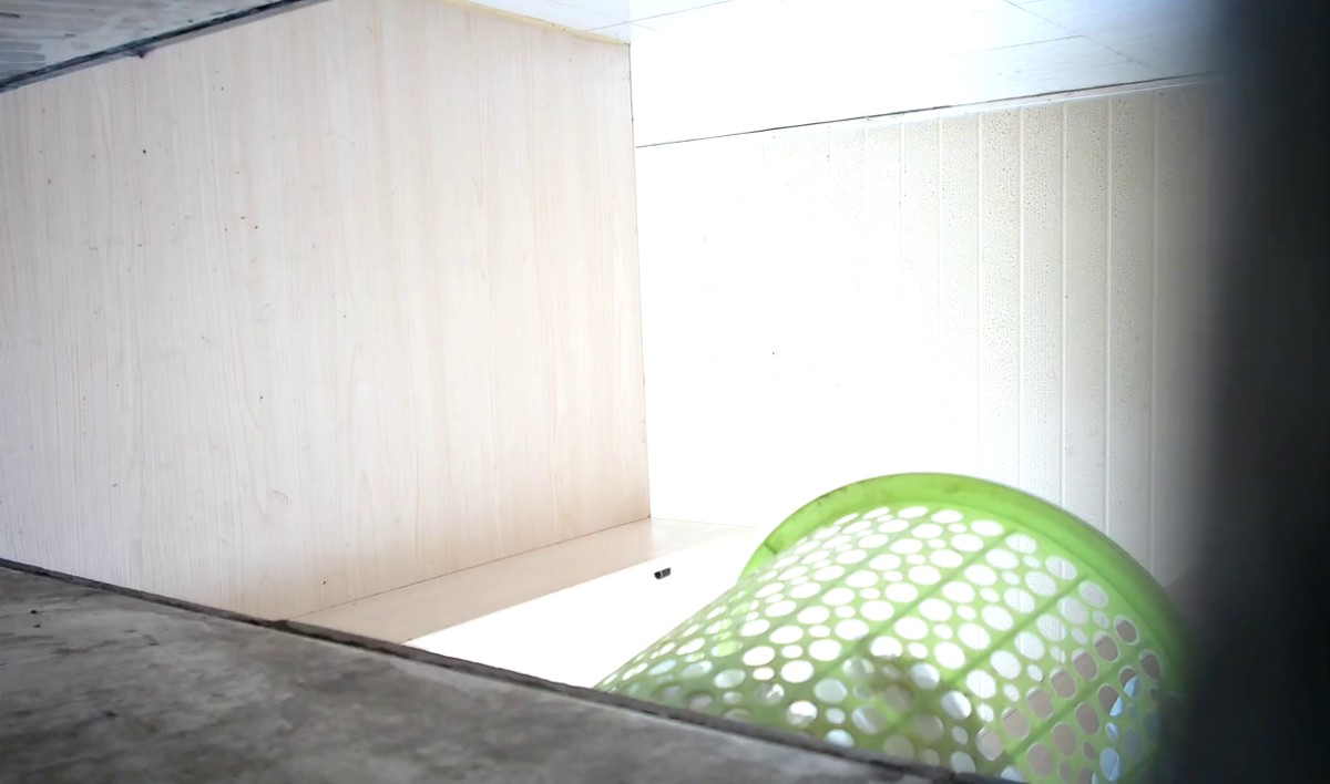 十月最新 新城某小区附近健身房女厕偷拍淡妆少妇，肥美的BB看着真让人蠢蠢欲动