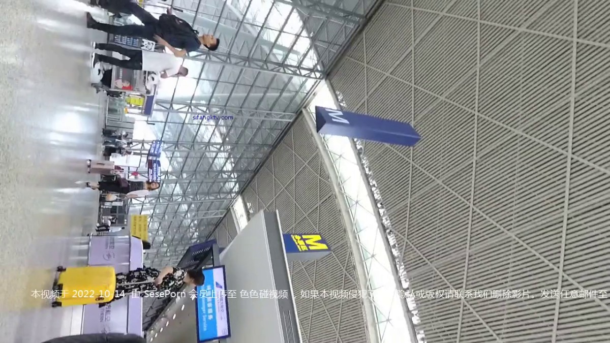 【最新 极品 抄底】超高质量机场地铁抄底 惊现无内小美女-3 (18)