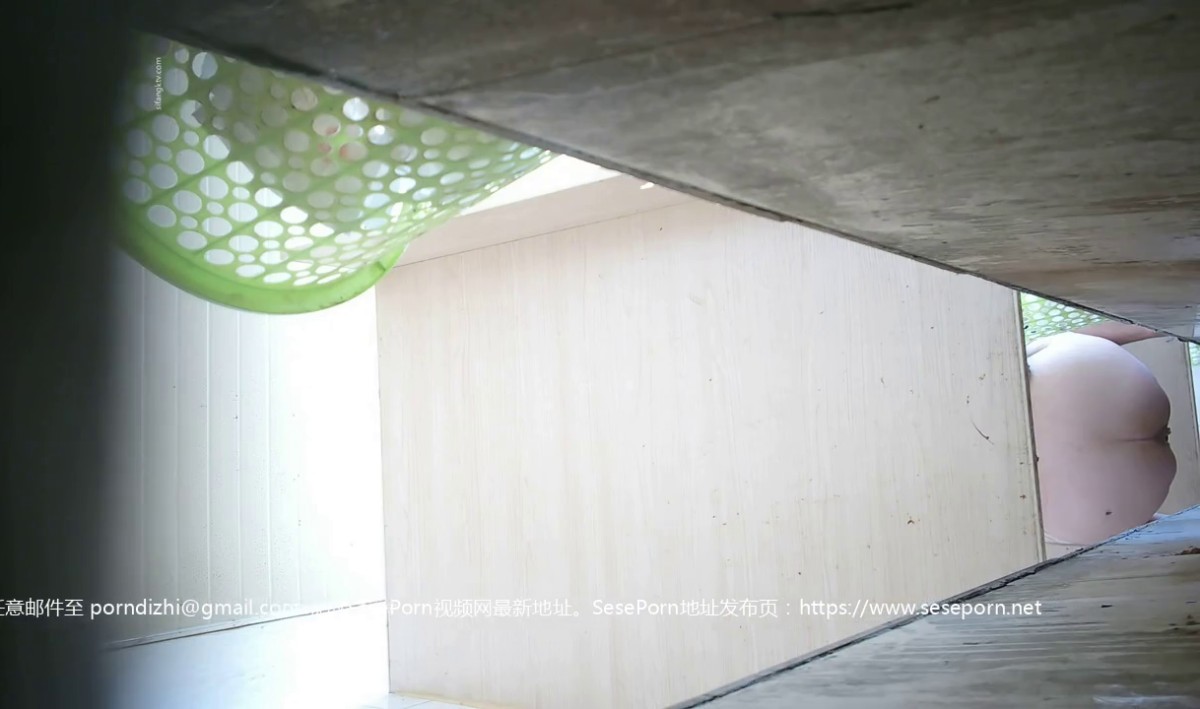 十月最新流出新城公园沟厕全景露脸沟厕偷拍美女尿尿 第5季长裙少妇-5_(new)