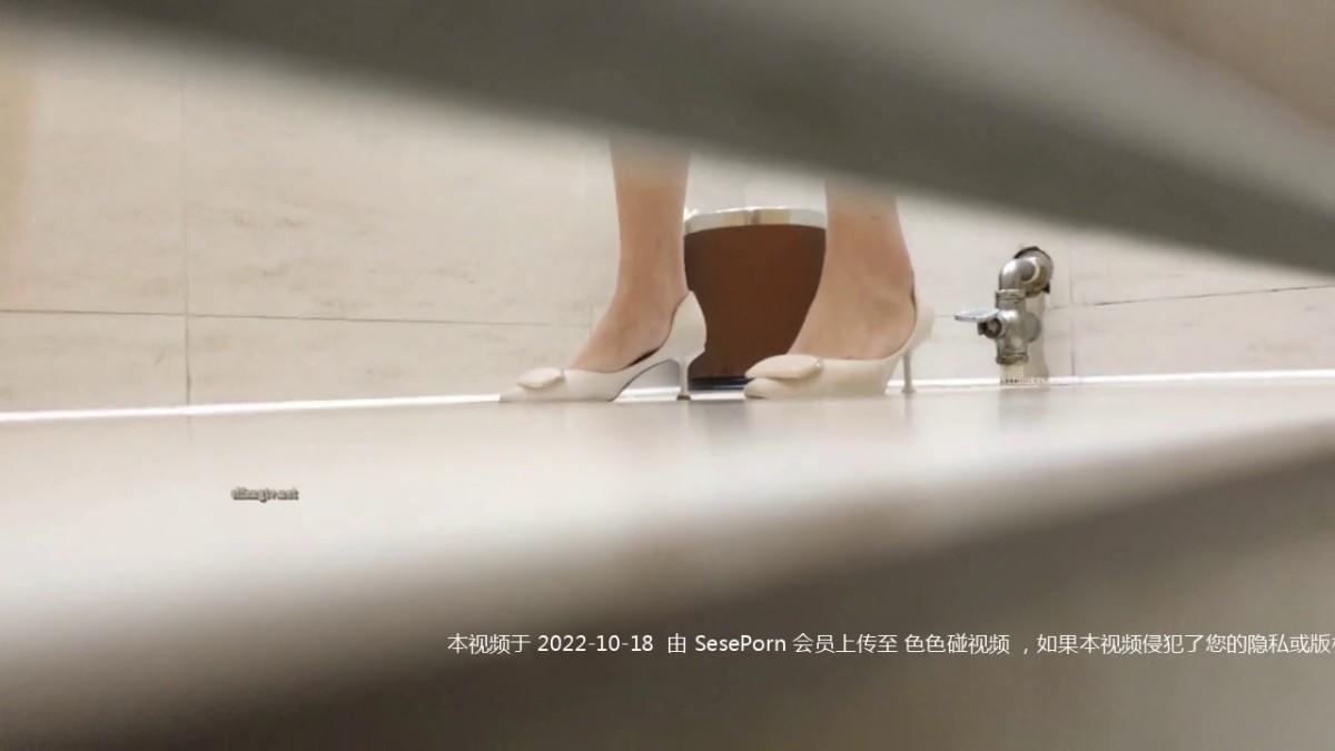 【精品厕拍】魔手外购CP女神 高颜值系列《喝多了的小妹）胆汁都快吐出来了-4