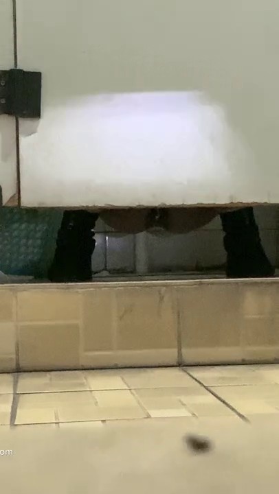 【经典厕拍】大学厕拍【四川外语学院】最全第2期12