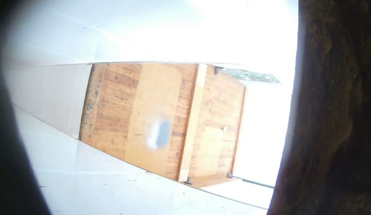 私房最新流出 2022精彩沟厕全景前后拍学生少妇 黄金撒尿喷涌而出1可爱学妹