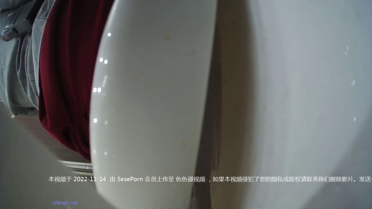 高清无水印珍藏版 高铁女神乘务员和靓丽的女乘客-1 (2)