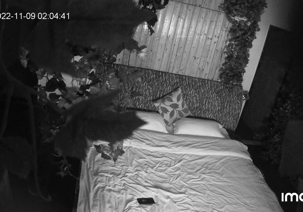 2022-11-9最新流出乐橙酒店精品偷拍 和单位身材超棒的美女开房偷情-8