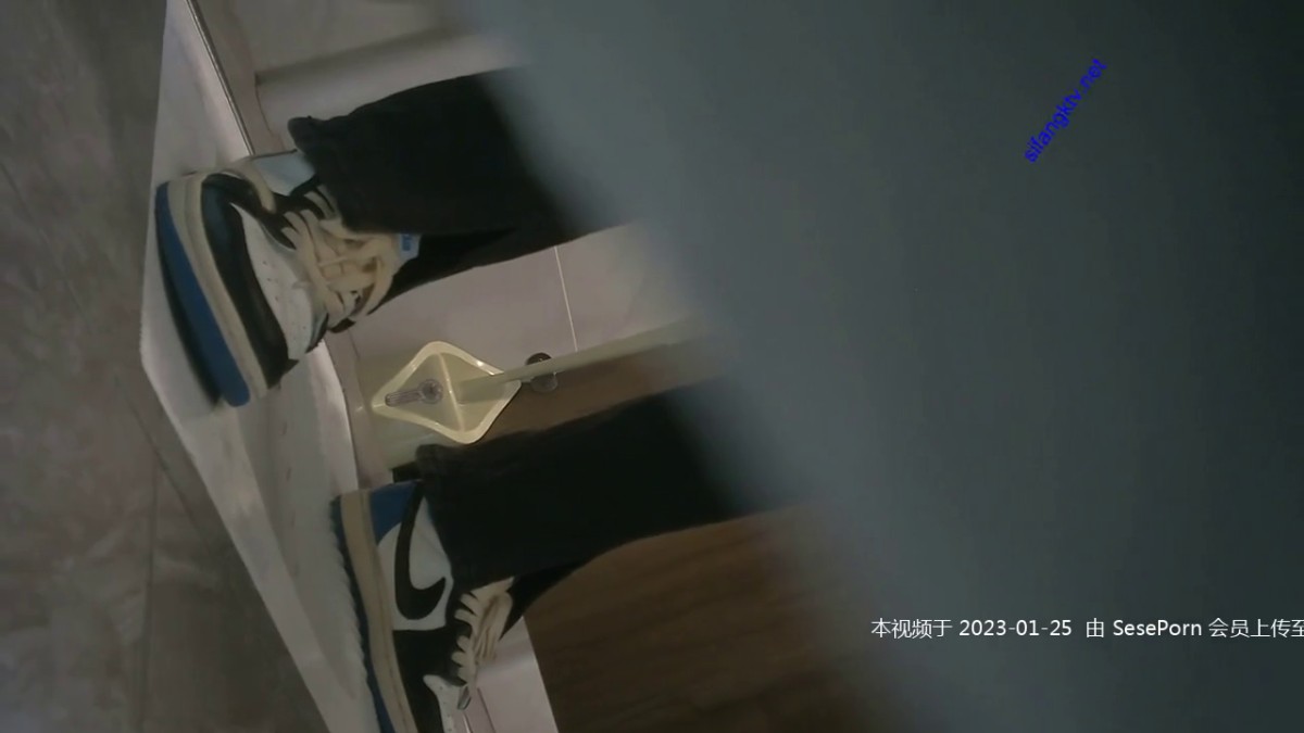 2023一月最新流出私房厕拍大神 隔墙有眼 原创厕拍3
