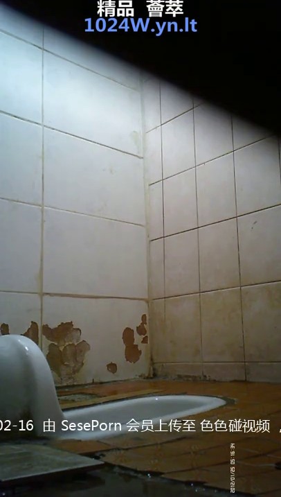 付费电报群CP篇精选大神各种场所偸拍嫩B小姐姐大小便亮点多小靓妹憋的直跺脚韵味少妇姿势优美-1 (5)