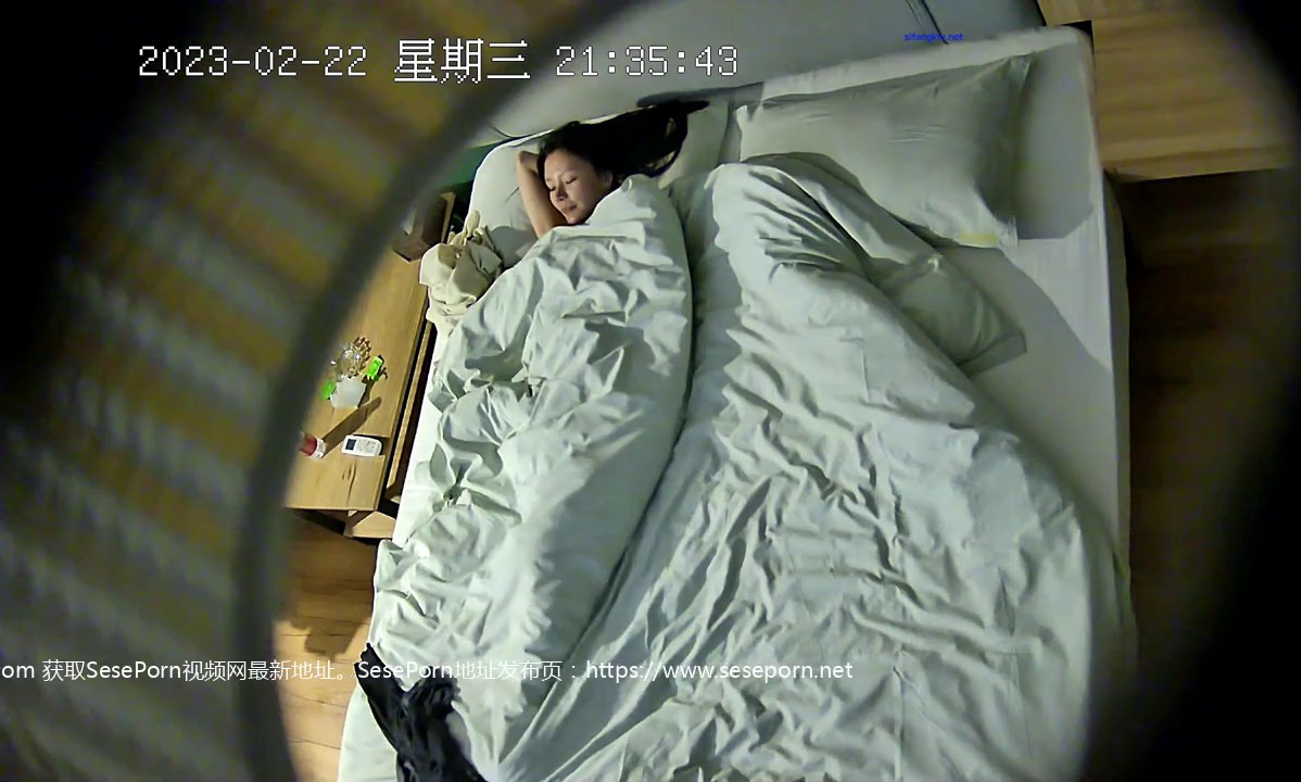 2023-2-22新流出酒店高清偷拍 小伙约炮极品高贵气质美女没能把持住几分钟就射了简直是暴殄天物