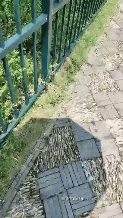 漂亮豪乳美少女〖你可以骚动〗户外勾搭屌丝男公园野战 淫语浪叫 商场露出玩火 又勾搭个帅哥回家玩 高清源码录制