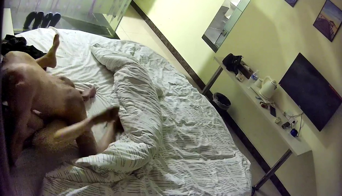 2023-10-3流出酒店偷拍 小情侣深夜开房只为解决生理需求迫不及待 又舔穴又操穴.