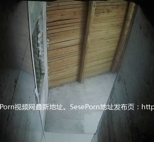 驾校简陋女厕偷拍 少数民族美女尿尿