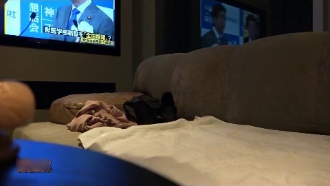 分享私拍经典老片少女破处 双马尾 清纯可爱 非常漂亮 特别爱笑的女孩  处女膜一破流了好多血