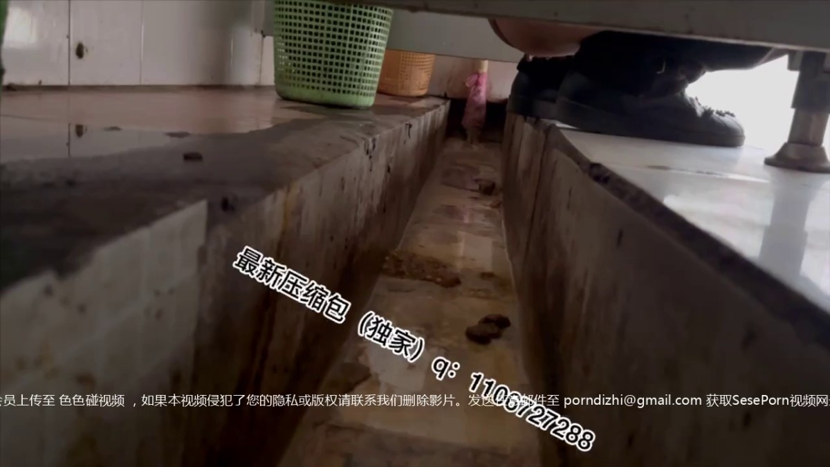 女孩在厕所拉屎 21