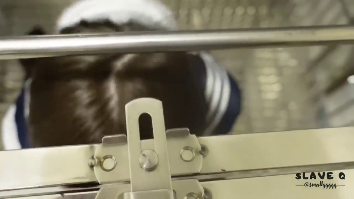 推特优质超强调教大佬【奴隶物语】新奴兔兔犬奴调教篇，肛塞SP狗爬圈养口交啪啪，对话淫荡2