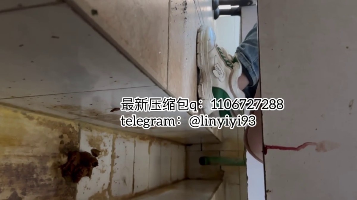 女孩在厕所拉屎45