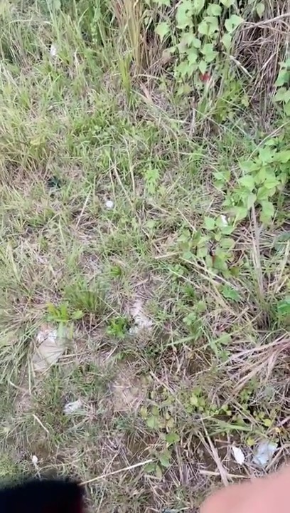 【剧情演绎】超爽野外带着嫂子去野外车震操逼，满面身姿骚气十足，车内疯狂操逼