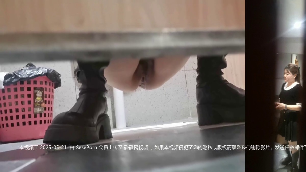 大神潜入商场女厕全景偷拍9位美女的各种极品嫩鲍鱼