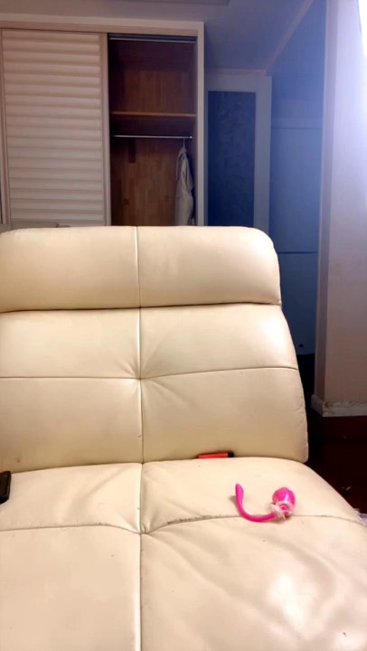 00后的女孩深夜露脸大秀直播，全程露脸跳蛋塞逼里自慰呻吟，穿上黑丝伺候小哥哥，口交大鸡巴各种体位爆草