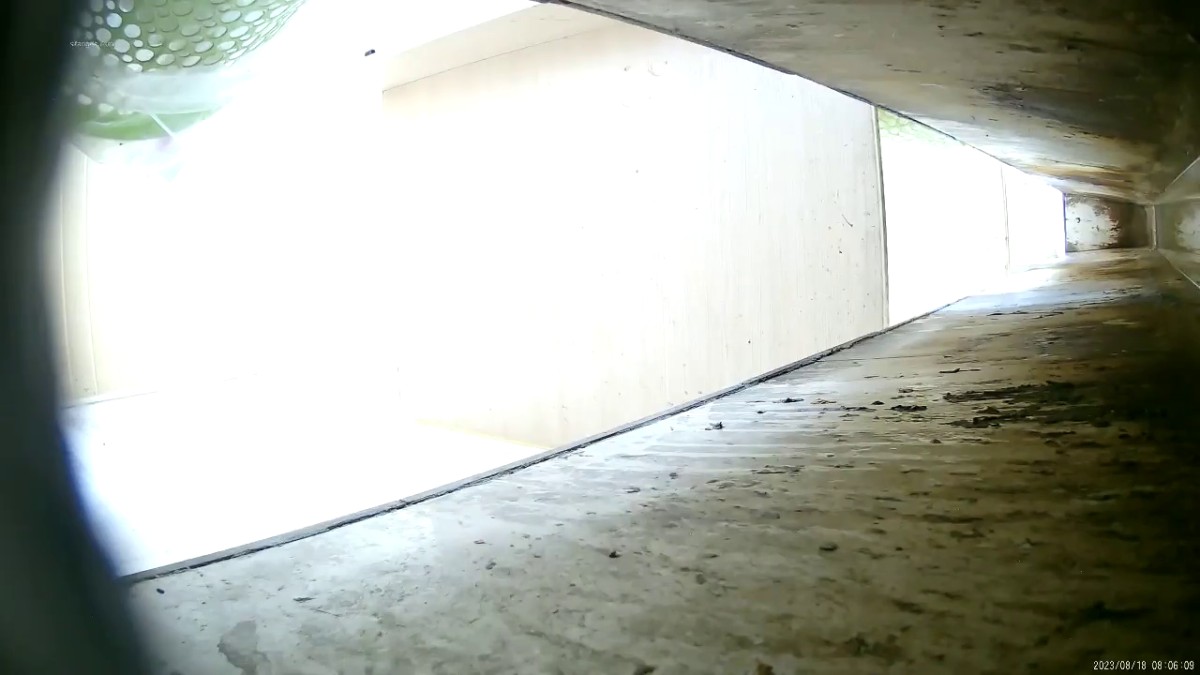 六月新流出23年8月加工厂沟厕偷拍 女工尿尿大号 绝顶视角 多逼同框临场感是十足5