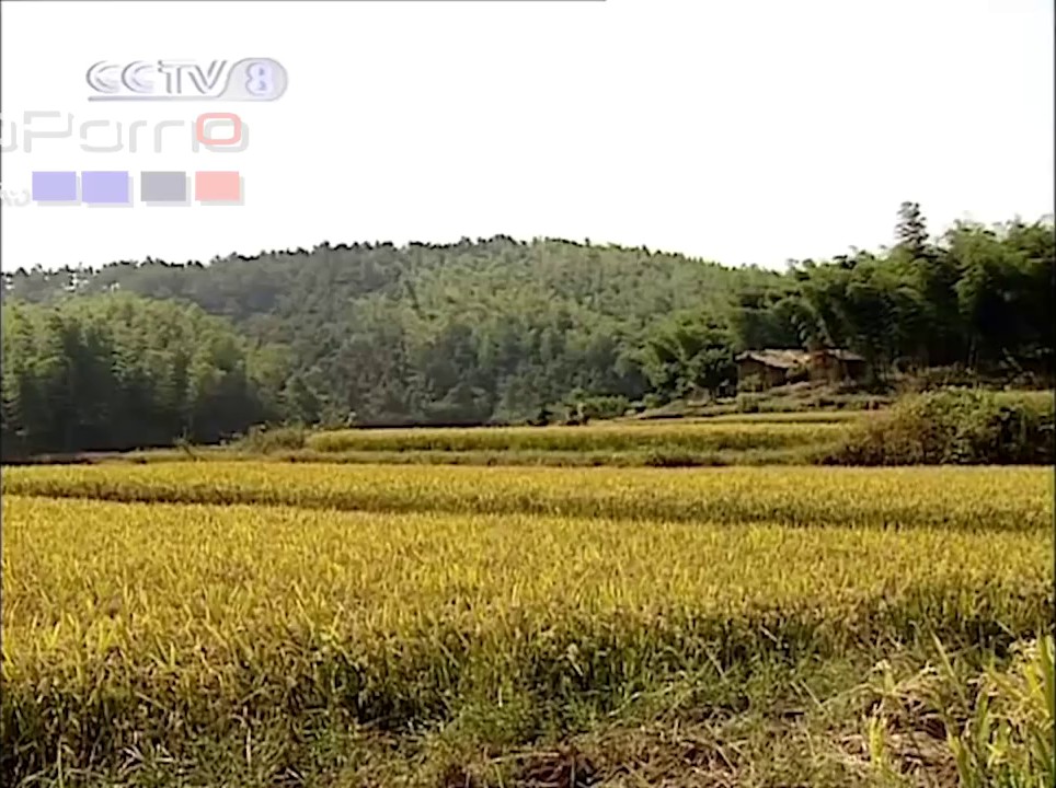 91大神『Goporn』新作甄选 高清《高颜扫街实录》内射爆操天然白虎嫩妹 1080P原版收藏1