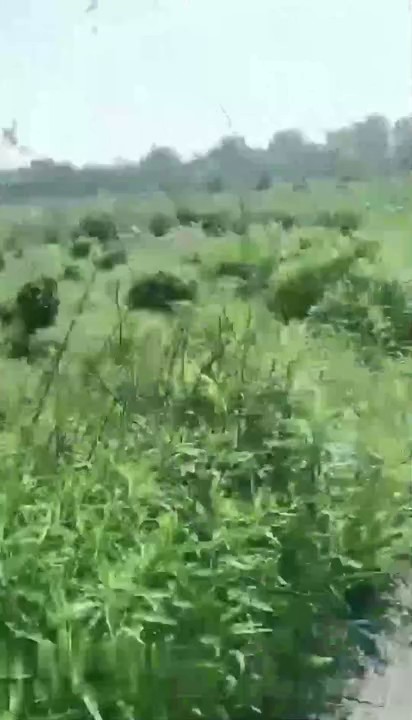 【母子乱伦】巨乳骚妈带着高三儿子车震“妈妈养你这么多年，得报答下我”