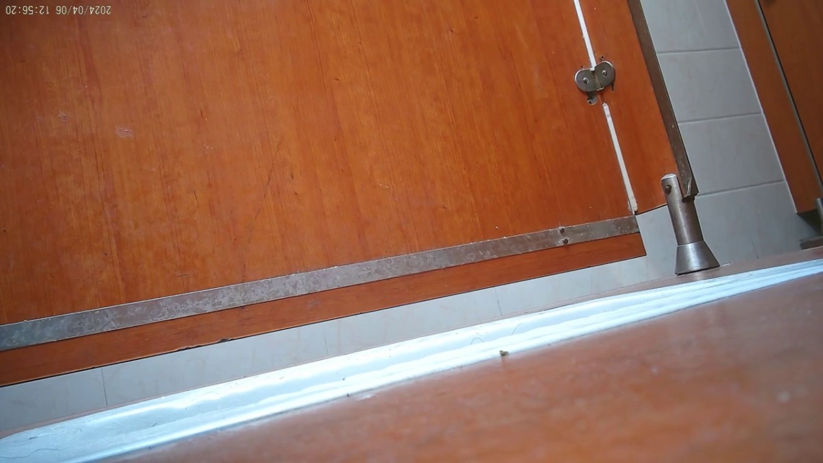 -高速服务区女厕偷拍络绎不绝的美女来嘘嘘 各种美鲍鱼完美呈现.