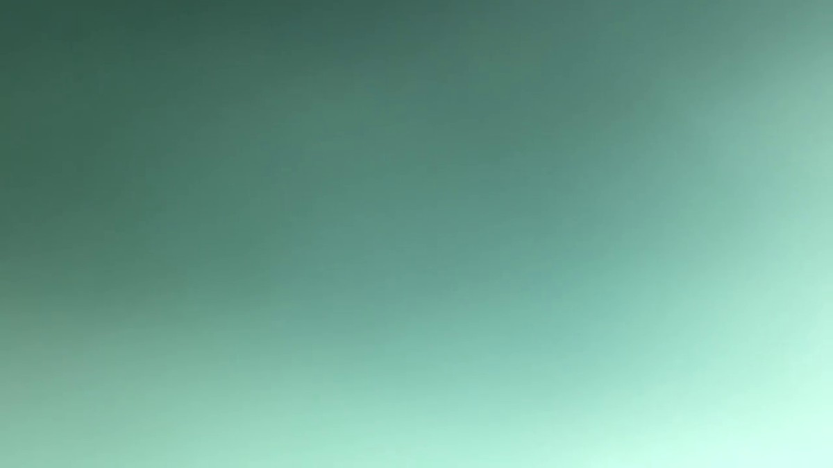 云盘泄密流出视图颜值不错的茶艺馆老板娘穿着制服丝袜和大款疯狂做爱